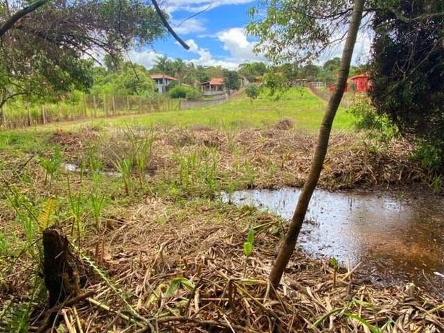 #228 - Área para Venda em Cabreúva - SP - 3