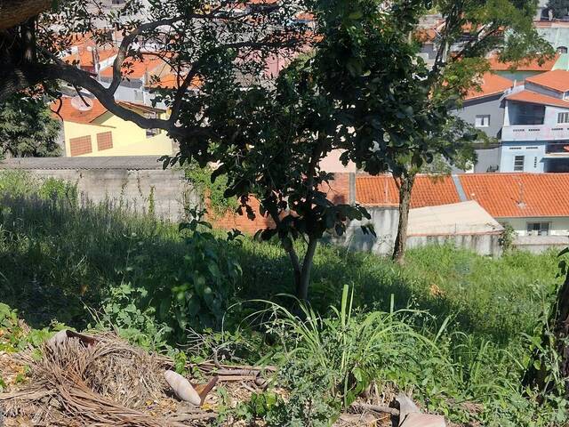 #251 - Terreno para Venda em Jundiaí - SP - 2