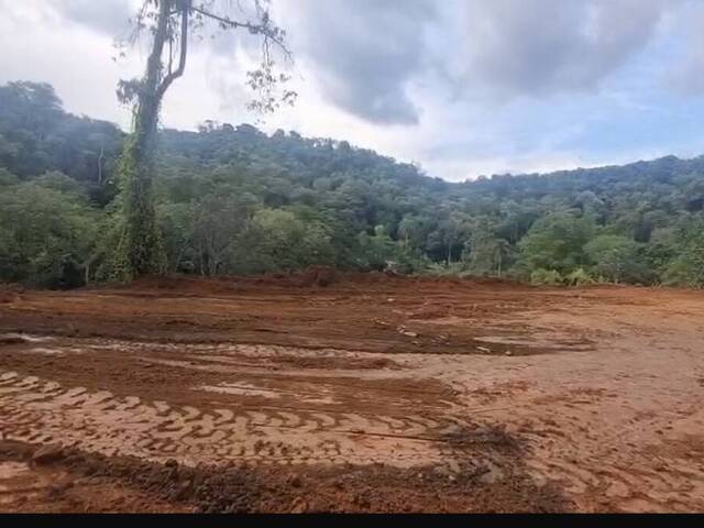 #616 - Terreno para Venda em Bananal - SP - 1