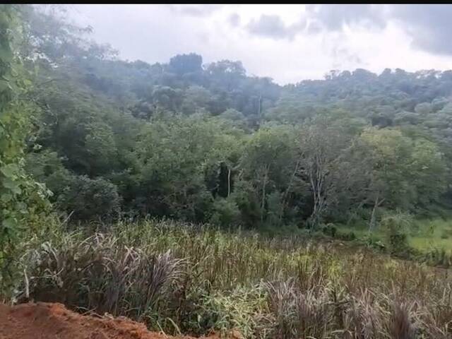 #616 - Terreno para Venda em Bananal - SP - 3