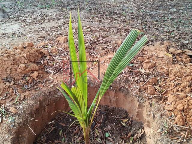 #778 - Área para Venda em Cabreúva - SP - 2